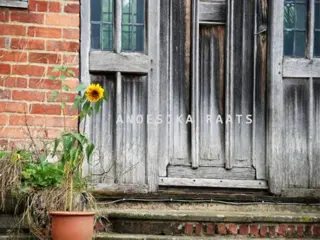 Fotografie ingelijst of los