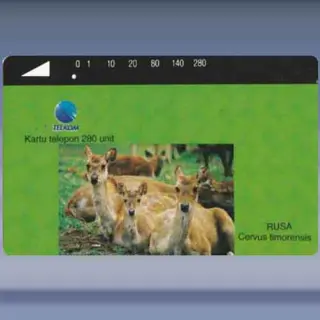 Rusa (Cervus timorensis) (1994)