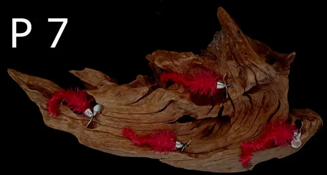 2 sets van elk 4 stuks Forel-Ruisvoorn-Baars Propellerwormen