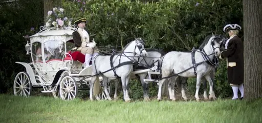 Cinderrela koets voor je communie