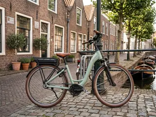 Riese & Muller Swing Framemaat 47 cm 500 WH accu