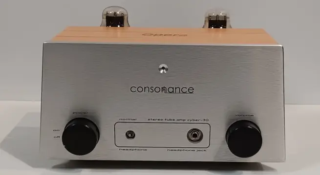 Consonance Cyber 30