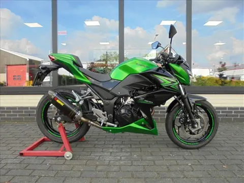 Kawasaki Z 300 NINJA ABS PERFORMANCE EDITION A 2