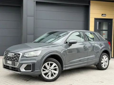 Audi Q2 30 TFSI Design Pro Line Plus - Leder - 6BAK - Navi - Cruise - PDC - Stoelverwarming