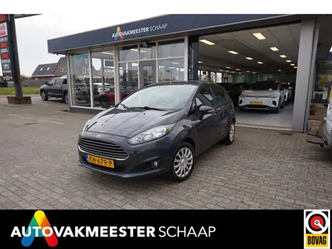 Ford Fiesta 1.25 ,4 cil ,122dkm , Incl nw apk/beurt & 6 mnd garantie