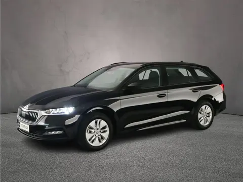 Skoda Octavia Combi Business Edition 1.0 eTSI 110pk DSG Automaat Cruise control, Navigatie, Elektris