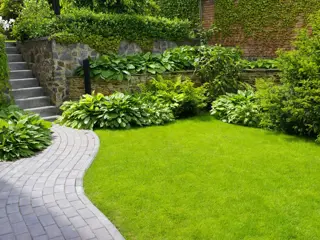 De goedkoopste TUINAANLEG &amp; TUINRENOVATIE offertes