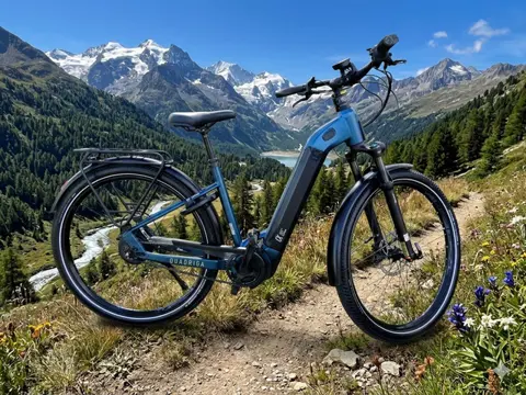 Kettler Quadriga Duo CX-E-TR 1250 wh accu framem 45 cm