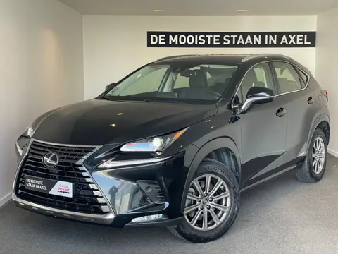 Lexus NX 300h AWD Business Line (bj 2020, automaat)
