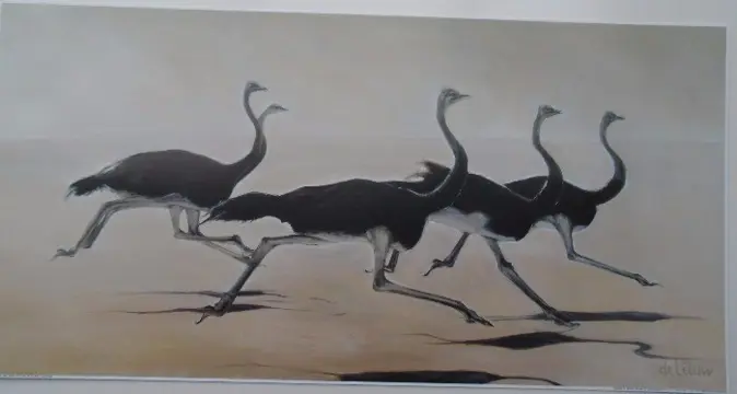 POSTER 60x30 CM WILDE DIEREN NIEUW