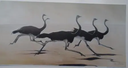 POSTER 60x30 CM WILDE DIEREN NIEUW