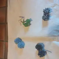 oorbellen, clips - home made