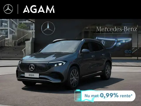 Mercedes-Benz EQA 250+ Business Solution AMG 71 kWh