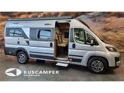 Adria Twin 640 SGX 60 YEAR (bj 2026, automaat)