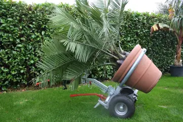 Degelijke transportkarren voor zware lasten/bloempotten