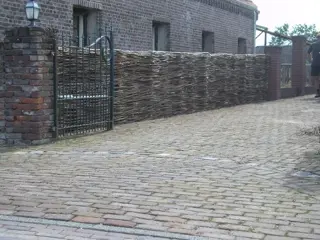 Verse wilgentenen nieuwe oogst