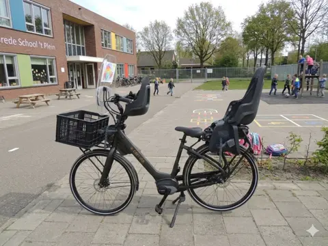 Cortina Family Common Bosch 400 WH accu Framem 50 cm