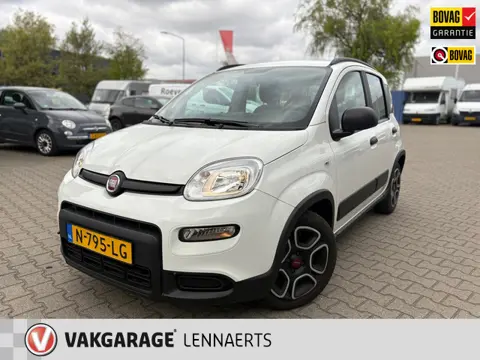 Fiat Panda 1.0 Hybrid City Life (RIJKLAARPRIJS/BOVAG)
