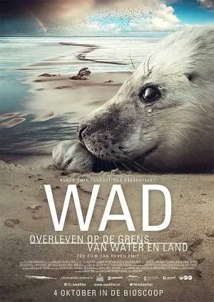 WAD, overleven op de grens van water en land poster