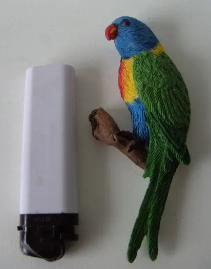 MAGNEETJES GROTE PAPAGAAI LORI 24 STUKS NIEUW TRAKTATIE TIP