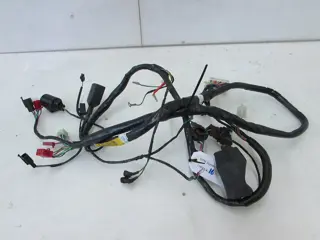 KABELBOOM Overig Onbekend Unknown 1950 - 2011