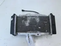 RADIATEUR Overig Onbekend Unknown 1950 - 2011