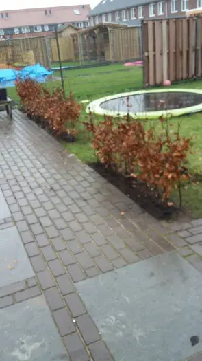 Erfafscheiding kopen met korting
