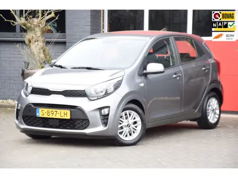 Kia Picanto 1.0 DPi DynamicLine 2023 carplay navi Camera LM Velgen
