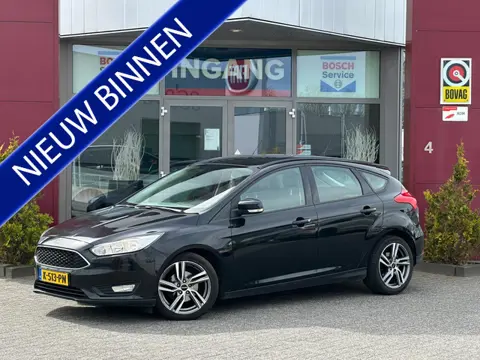 Ford Focus 1.0 Trend Edition | Nieuwe distributie