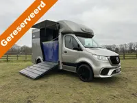 Mercedes-Benz Sprinter 319 AMG 2-paards paardenvrachtwagen B-rijbewijs 3500KG trekhaak!