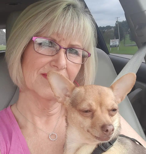 Hou jij net als ik van reizen?