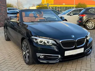 BMW 2 Serie Cabrio 218iA LUXURY ** LED, LEDER, APPLE/ANDROID, HiFi, 18-inch LMV, 2-zone AIRCO ** 2e 