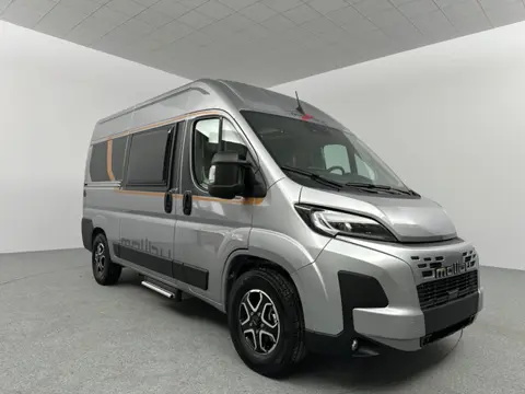 Malibu Van Compact 540 DB Automaat LED lampen Cassetteluifel