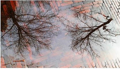 Ik ben op zoek naar een stel waarvan de man Bi is.