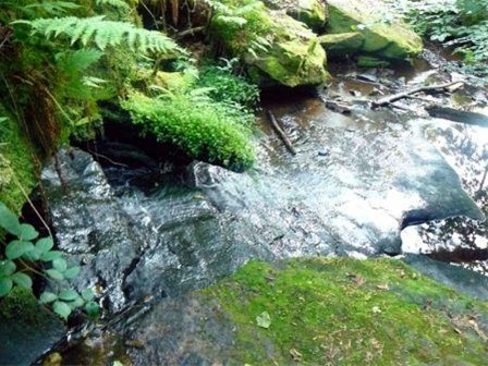 Workshop Massage op een gewone stoel Groningen