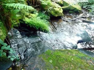 Workshop Massage op een gewone stoel Groningen