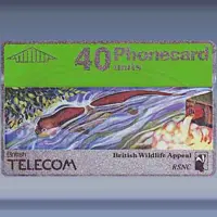 Wildlife Appeal (1990)