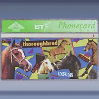 Youth series, Horses (1993)