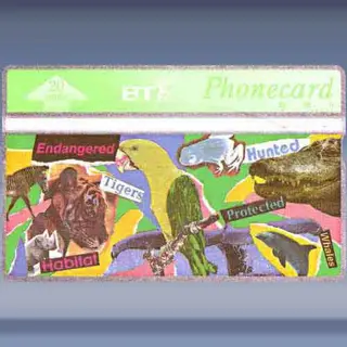 Youth series, Wildlife (1993)