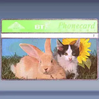 Spring in the air (1)