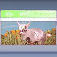 Spring in the air - Kid