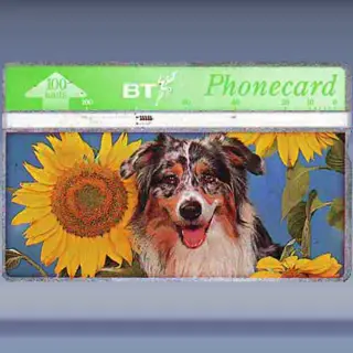 Spring in the air (2)