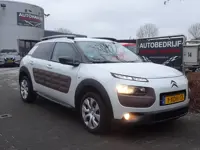 Citroën C4 Cactus 1.6 e-HDi Business (bj 2014, automaat)
