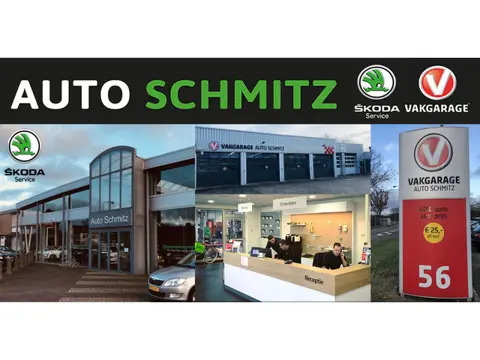 Skoda Fabia Combi 1.2 TSI 81 KW Style *Clima/PDC/Cruise*
