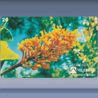 Chapéu De Couro (1995)