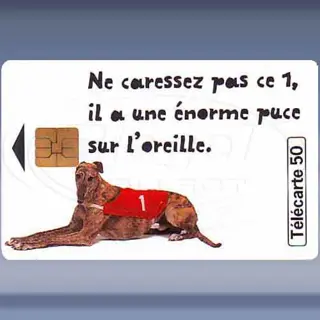 Loto Chien (jun-98)