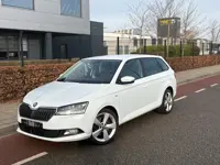 Skoda Fabia Combi 1.0 TSI Clever Cruise/climate controle navigatie stoel/verwarming