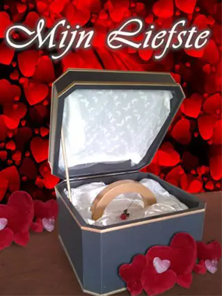 Aanzoek bruiloft huwelijk romantische setting decor