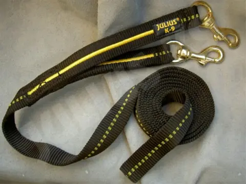 Julius K9 Y-Leash