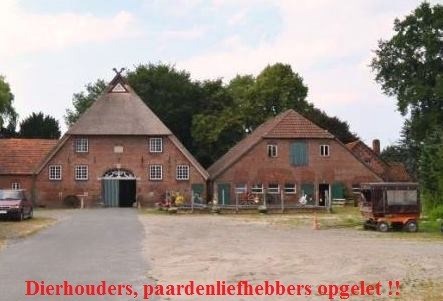 Paardenliefhebbers, boerderij-gebouwen, 7 hectare